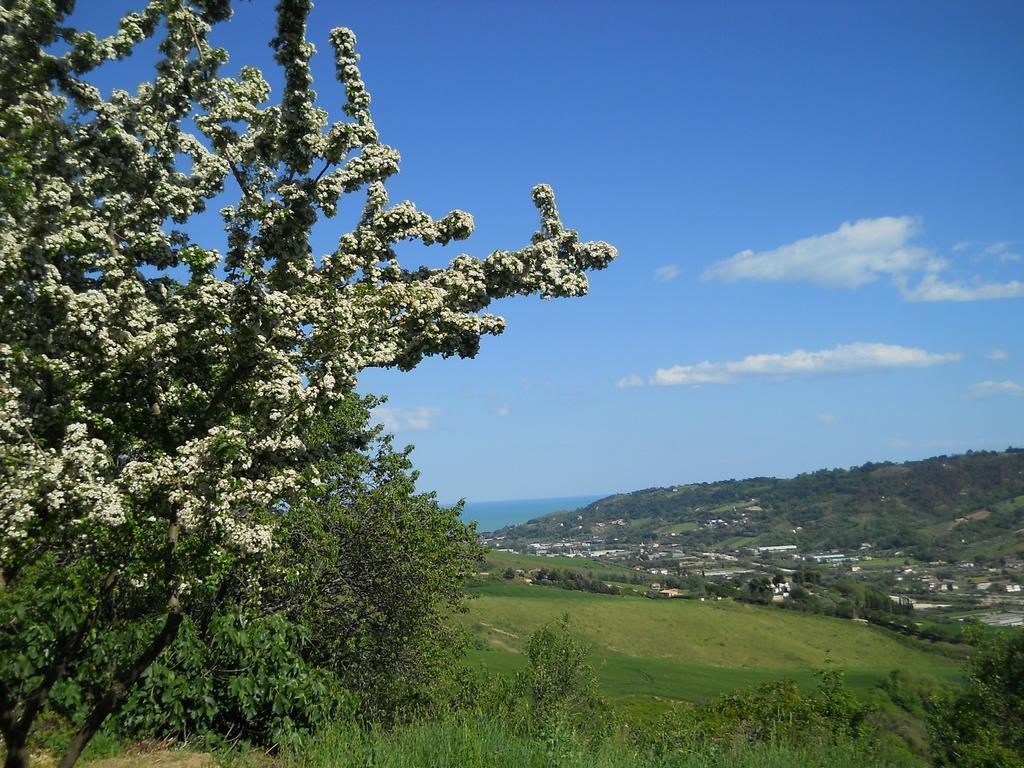 B&B Silent Valley Ripatransone Exterior foto